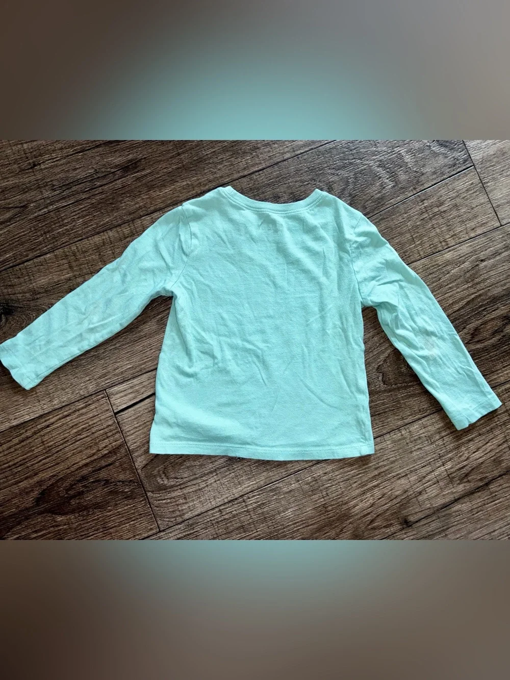 Old Navy Mint Green Camp Crew Long Sleeve Graphic Tee